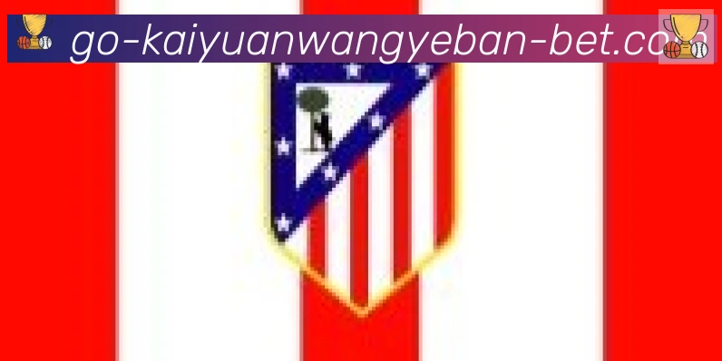 开元官网网页版体育合作伙伴